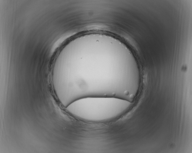 X0000110941117200906191043