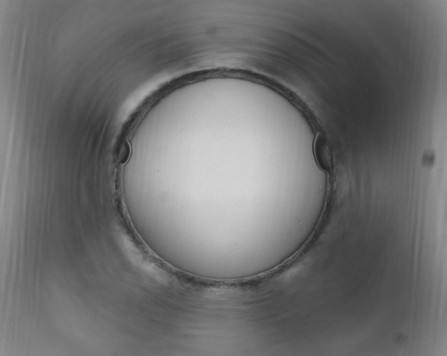 X0000110941118200906191043