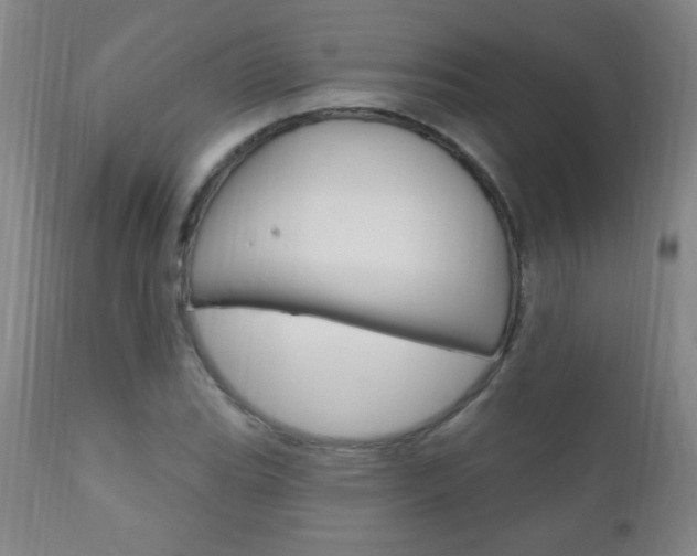 X0000110941119200906191043