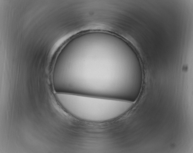 X0000110941120200906191044