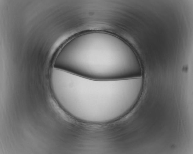 X0000110941122200906191044