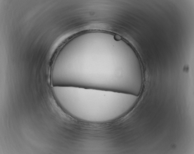 X0000110941123200906191044
