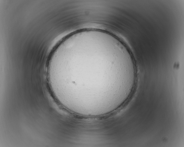 X0000110941125200906191044