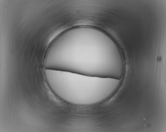 X0000110941129200906191044