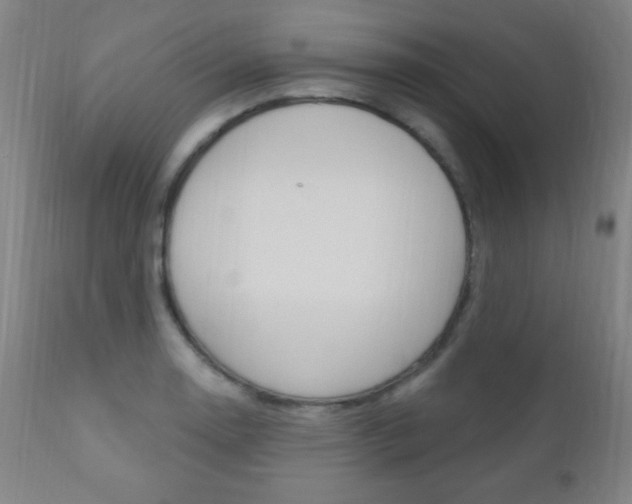 X0000110941130200906191044