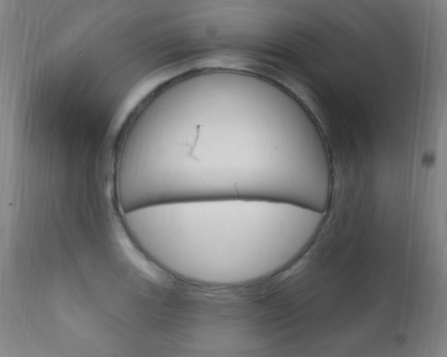 X0000110941131200906191044