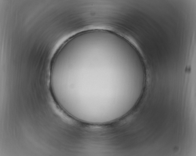 X0000110941132200906191044