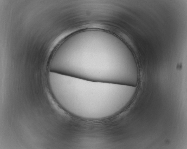 X0000110941133200906191044