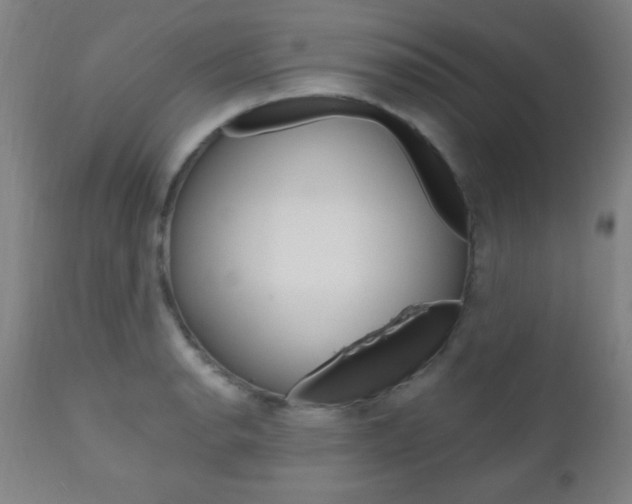 X0000110941134200906191044