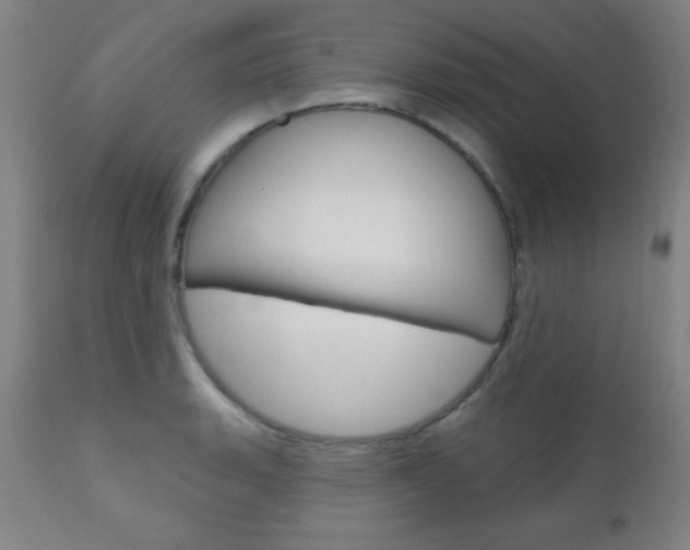 X0000110941135200906191044