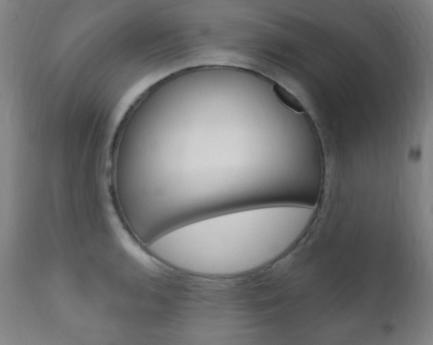 X0000110941136200906191044