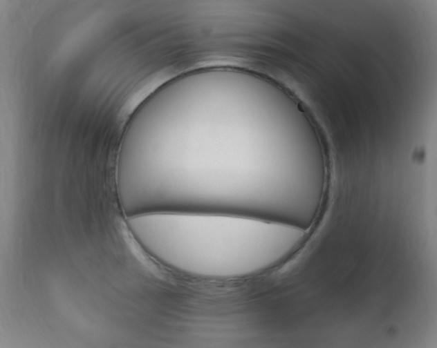 X0000110941137200906191044