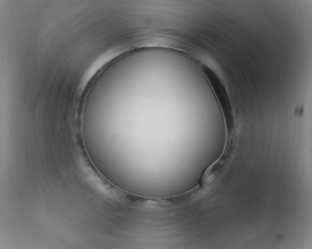 X0000110941138200906191044