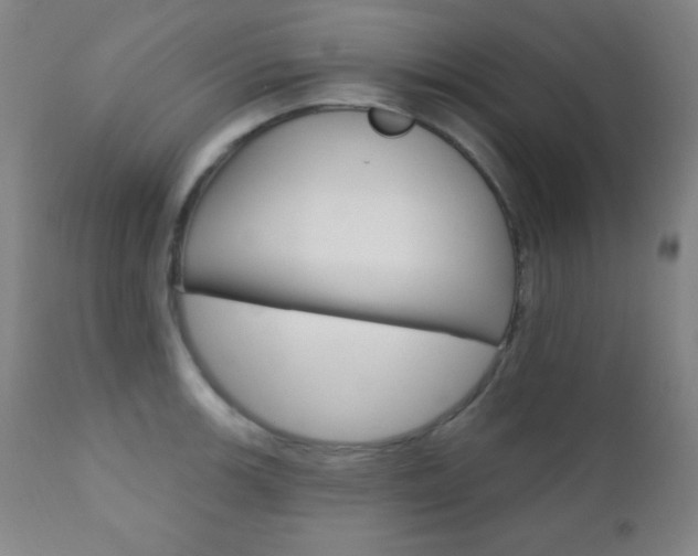 X0000110941139200906191044