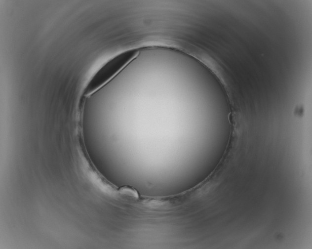 X0000110941140200906191044