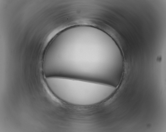 X0000110941141200906191044