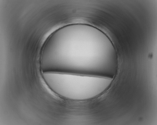 X0000110941142200906191044