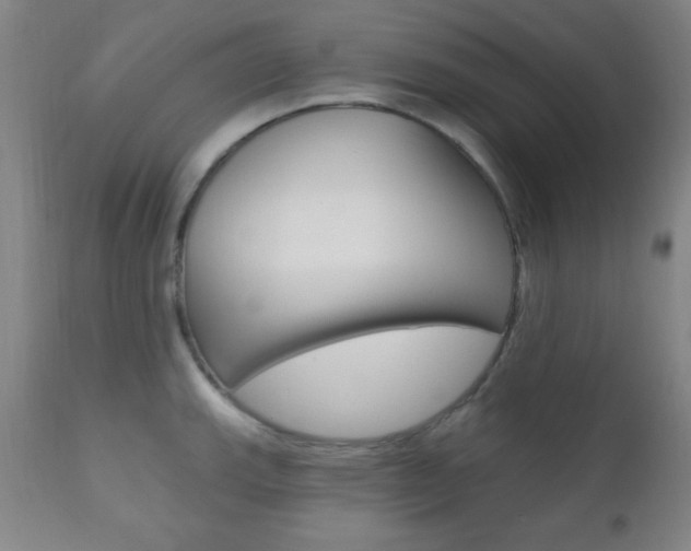 X0000110941143200906191044