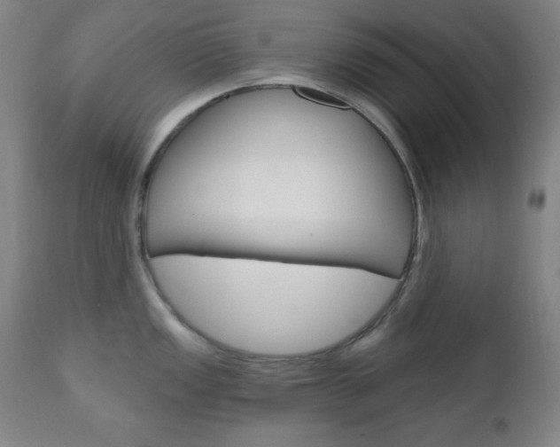 X0000110941149200906191044