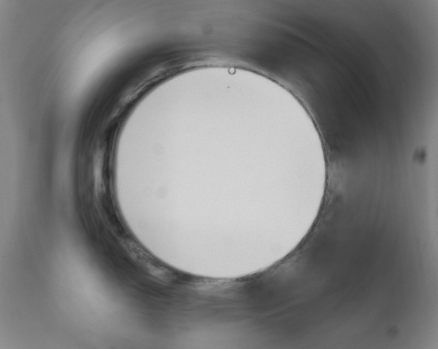 X0000110941150200906191044