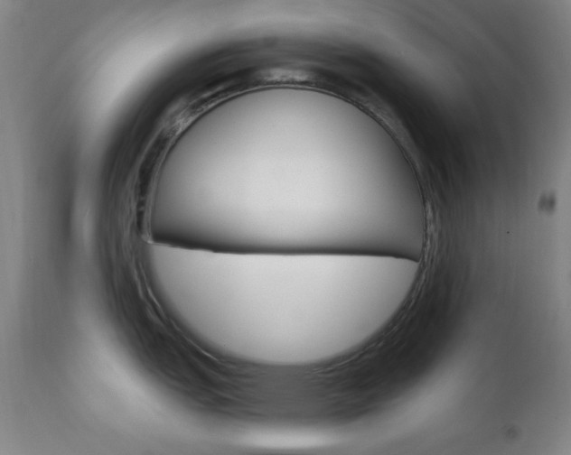 X0000110941151200906191044