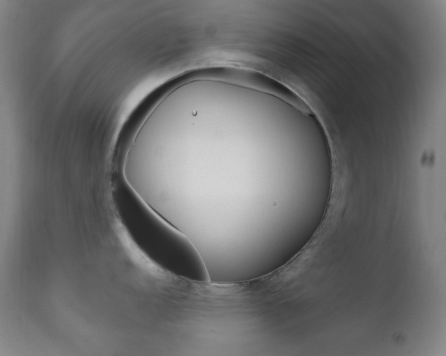 X0000110941152200906191044