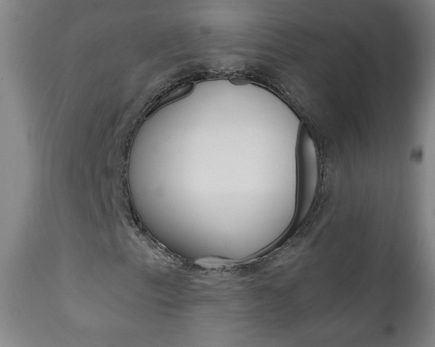 X0000110941153200906191043
