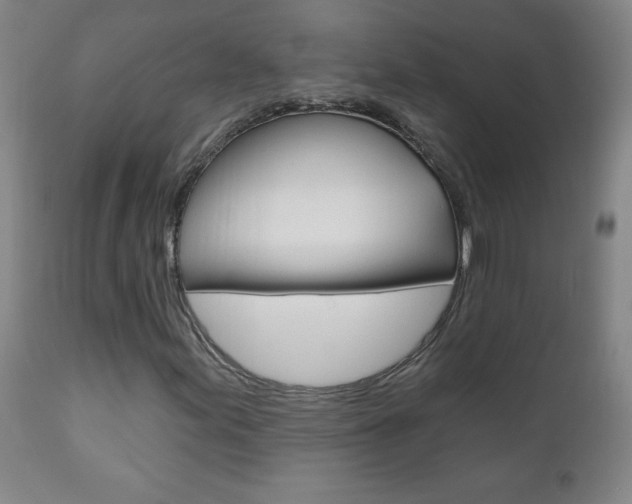 X0000110941155200906191043