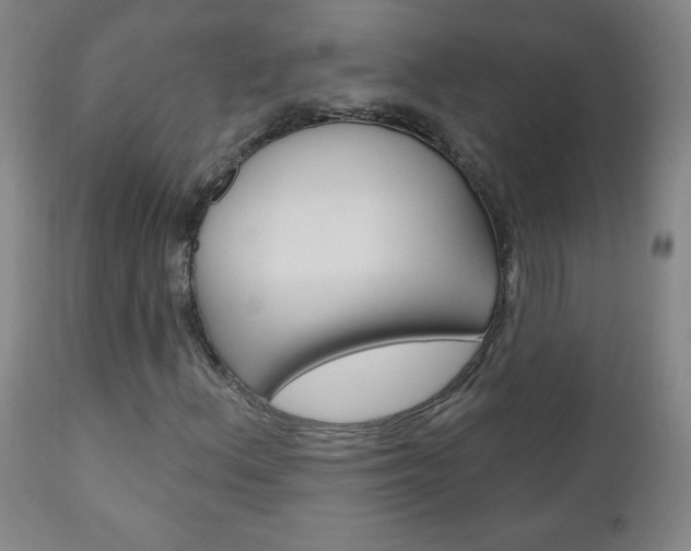 X0000110941156200906191043