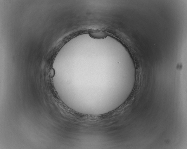 X0000110941158200906191043