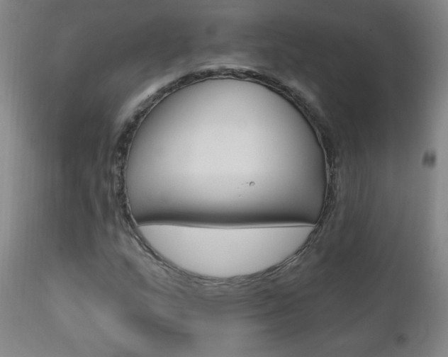 X0000110941159200906191043
