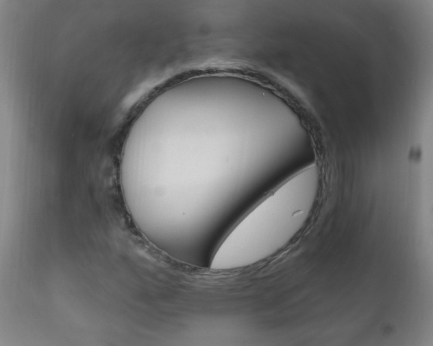 X0000110941160200906191043