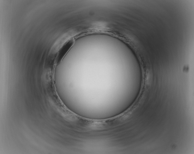 X0000110941161200906191043