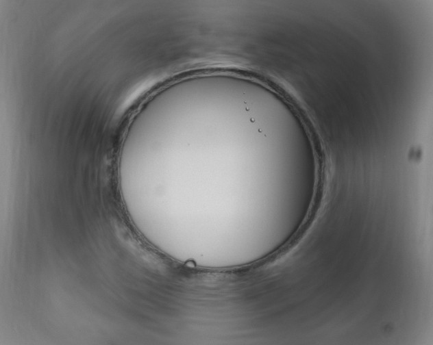 X0000110941163200906191043