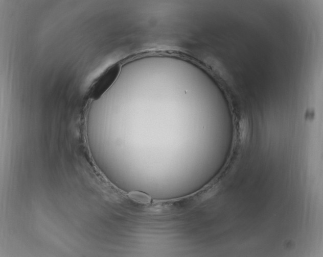 X0000110941165200906191043