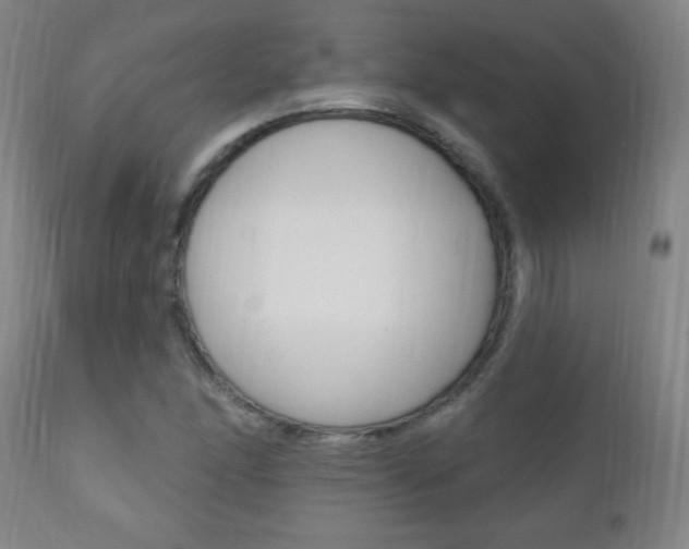 X0000110941166200906191043