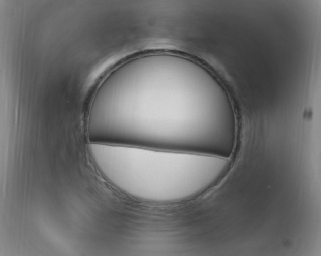 X0000110941167200906191043