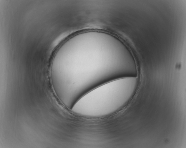 X0000110941168200906191043