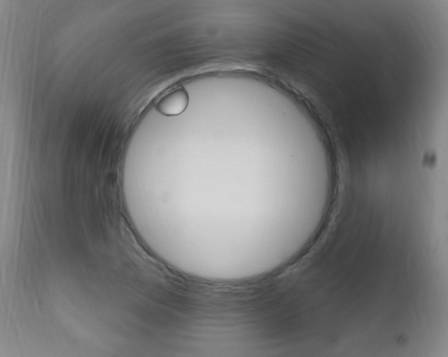 X0000110941169200906191043
