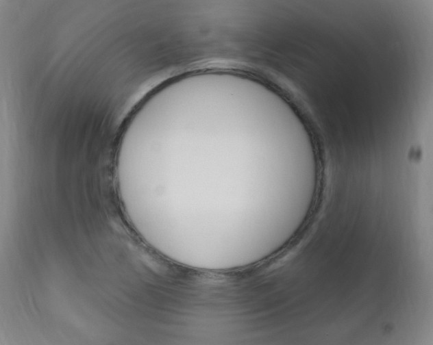 X0000110941170200906191043
