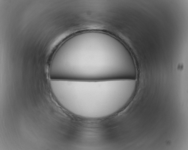X0000110941171200906191043