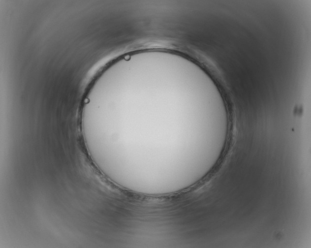 X0000110941174200906191043