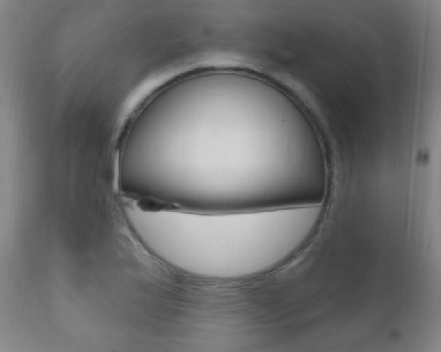 X0000110941175200906191043