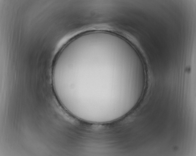 X0000110941176200906191043