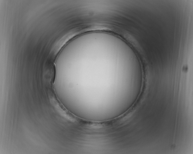 X0000110941177200906191043