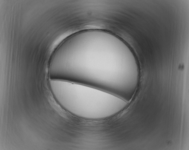 X0000110941179200906191043