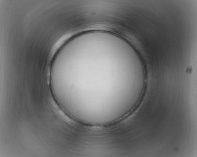 X0000110941180200906191043
