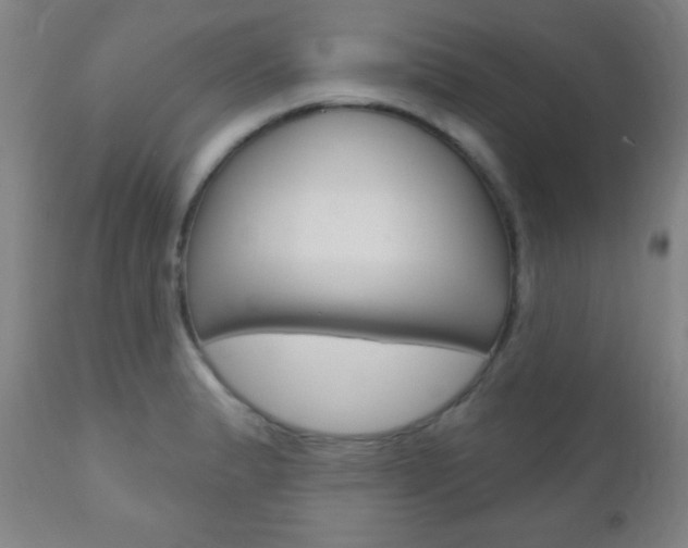 X0000110941183200906191043
