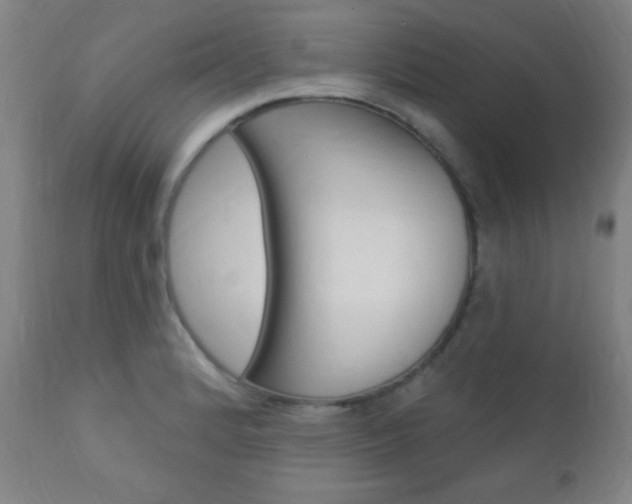 X0000110941184200906191043