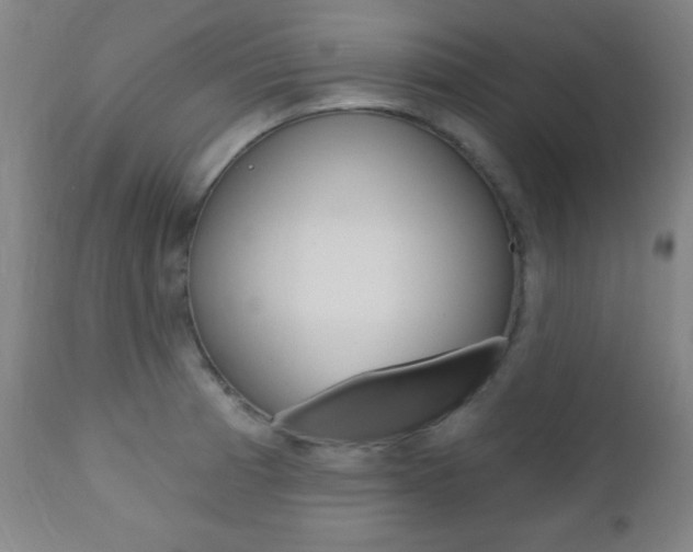 X0000110941185200906191043
